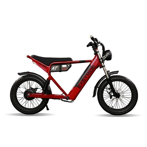 EASYRIDE 이지라이드 올터레인 맥스 48V 1000W 전동스쿠터 전기스쿠터 자토바이, 티탄그레이, 15Ah(기본)