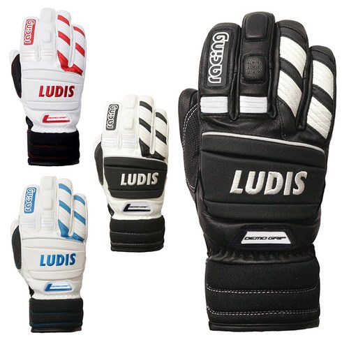 2023년 가성비 최고 루디스스키 - 19/20 루디스 스키장갑 DEMO GRIP 데모그립, (WT+BU)