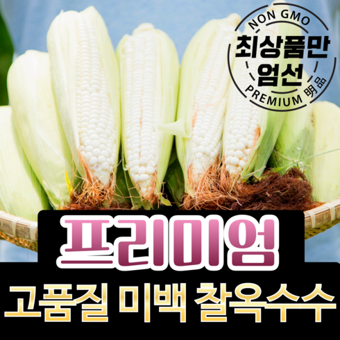 괴산대학옥수수 - [강원도 산지직송] 생 옥수수 햇옥수수, 1박스, (특품) 옥수수 5개입