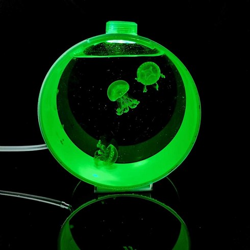 해파리 키우기 해파리 어항 수조 관상어 물멍 장식