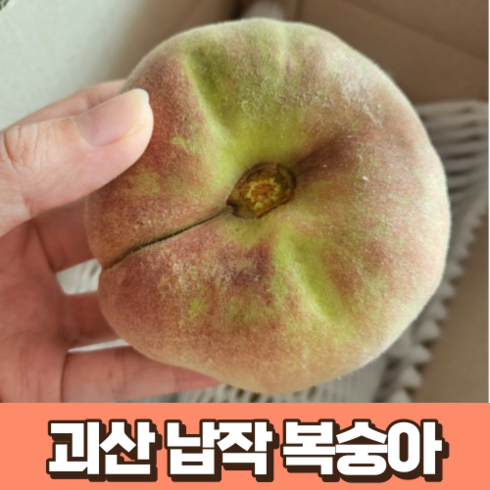 괴산 납작 복숭아 1kg 국산 충북 농장 산지 직송 납작복숭아 국내산 유럽 고당도 납작 복숭아 프리미엄 제철 과일, 1박스