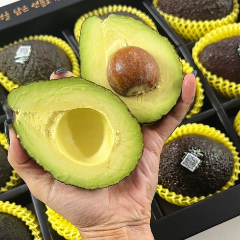 아보카도 최상급 직수입 중과 대과 생과 과일 선물세트, 아보카도(중과) 5개