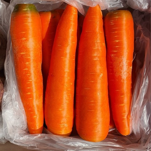 야채당근 - 자주 찾는 필수 야채 세척당근 carrot 직접선별 이중 박스포장, 10kg (개당300g내외), 1개