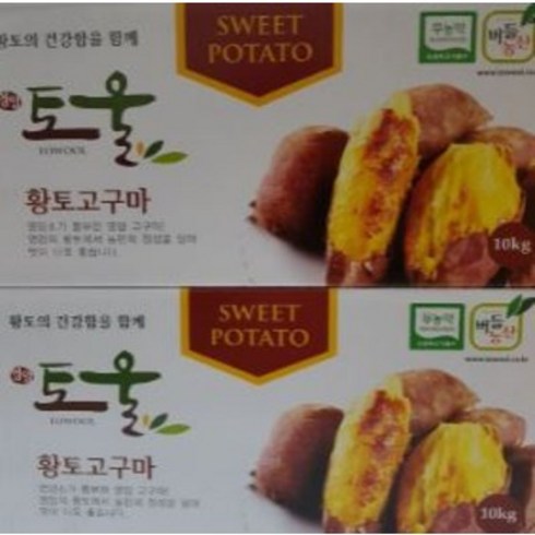 고구마 TOP01