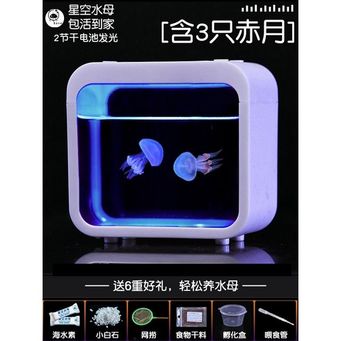 해파리키우기 수조 물멍 조명 애완 해파리 무드등 어항, 화이트