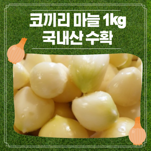 코끼리마늘 1kg 특대 마늘, 1개