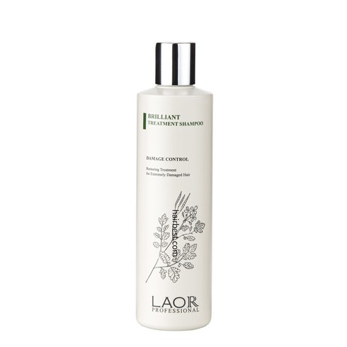 rado면세점 - 라오르 브릴리언트 트리트먼트 샴푸 300ml (건성 민감 손상모발용), 1개