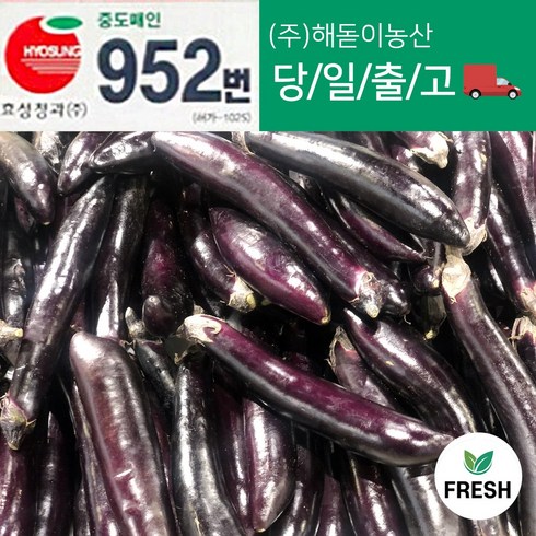 <해돋이농산> 국내산 햇 가지 못난이가지 상품 10kg, 국내산 가지 10kg, 1개”></a>
                </div>
<div class=