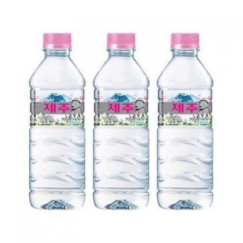 휘오 제주v워터, 500ml, 100개