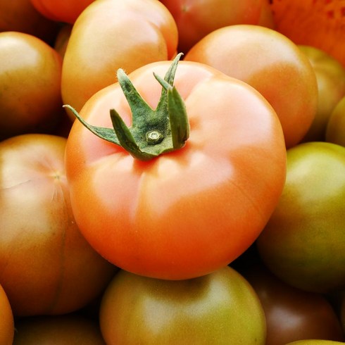 오색 칵테일 토마토 5kg - [오앤디상회] 당일수확 완숙 찰 토마토 국내산 동양종 산지배송 토마토, 1개, 토마토 1번과 (대) 5kg