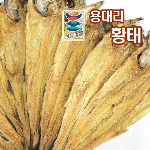 대관령에서 얼고 녹은 황태 15마리 - 용대리 황태포 대 10미(마리당 38~40cm), 1개, 상세 설명 참조