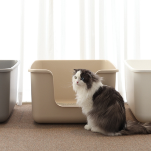 고양이화장실 TOP01