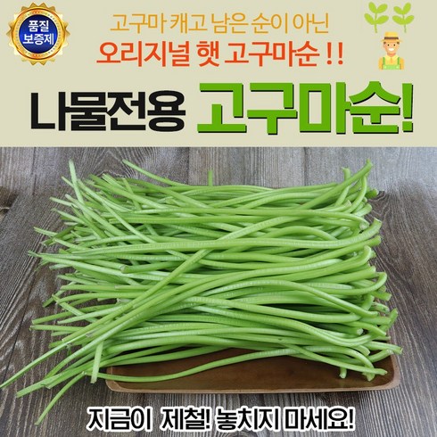 2023년 가성비 최고 고구마줄기 - 나물전용 햇 고구마순 4kg, 1개