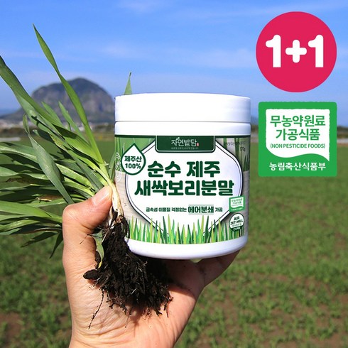 순수 제주 새싹보리 분말 에어분쇄 저온건조 보리어린잎 자연밭담, 170g, 2개