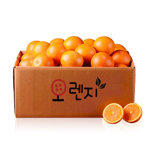 오렌지 - 고당도 네이블 오렌지, 1세트, 230g(대과), 20과