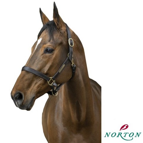 [NORTON] 가죽 마방굴레, Full, 블랙