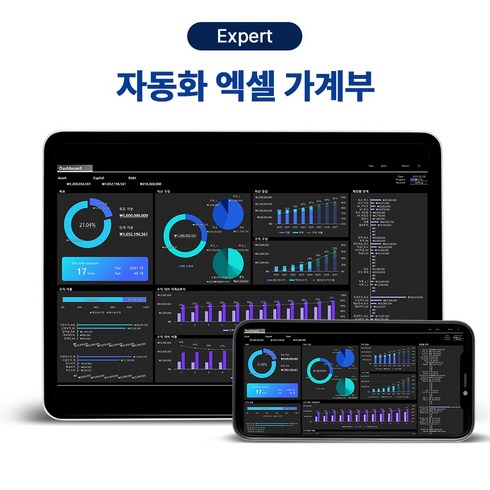 류앤미 엑셀 가계부 Expert