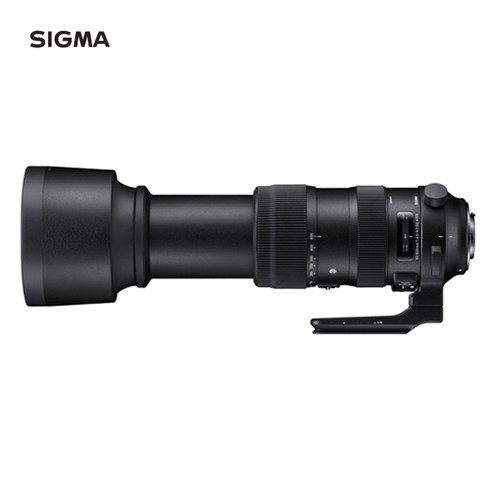 2023년 가성비 최고 시그마렌즈 - 시그마 장망원렌즈 S 60-600mm F4.5-6.3 DG OS HSM 캐논 카메라용 마운트