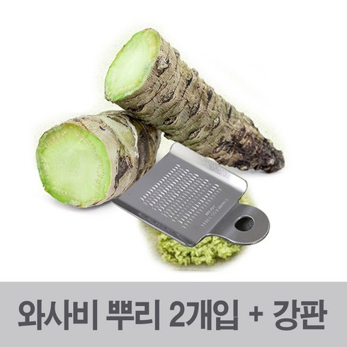 생와사비뿌리 - 생 와사비 고추냉이 생고추냉이 생와사비뿌리, 1세트, 30g