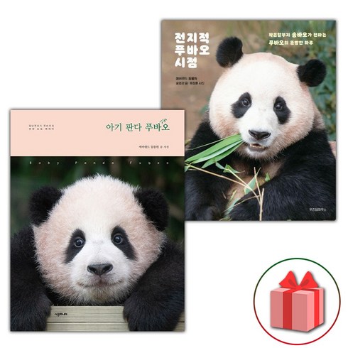 사은품) 아기 판다 푸바오 + 전지적 푸바오 시점 - 전2권