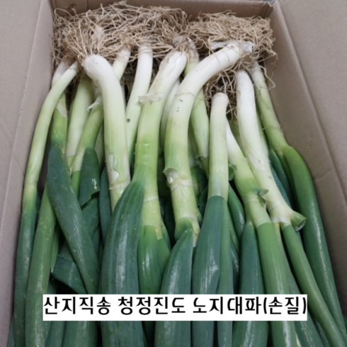 양대파 - 향이 진하고 달달한 진도 손질 노지대파 3KG 5KG 10KG 청정진도 산지직송 노란잎제거 손질대파, 1개