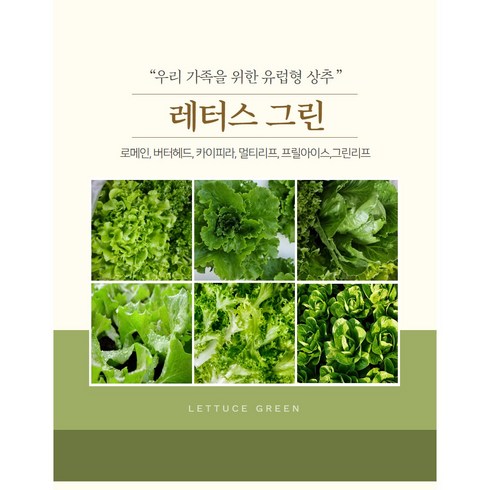 유럽샐러드채소 - 산지직송 유럽형 샐러드 상추 3종~4종 유러피안 상추, 1개, 1kg