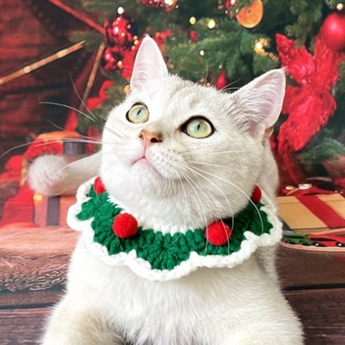 스펜서 반려동물 고양이 강아지 크리스마스 케이프, S, 스윗 그린