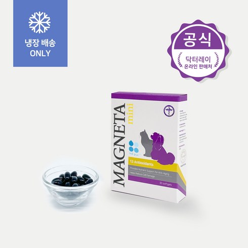 마그네타 TOP01