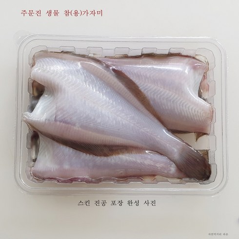 2023년 주문진 산지직송 오늘 새벽 바다에서 잡은 싱싱한 생물 가자미 대 2미(두절 전 27-30cm), 2마리