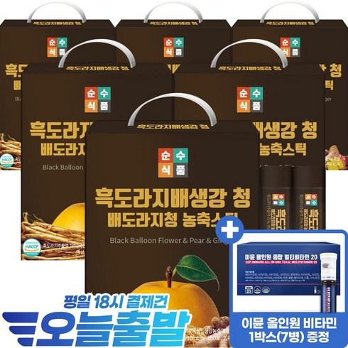 흑도라지청 - 순수식품 흑도라지 배 생강 청 스틱, 10ml, 600개