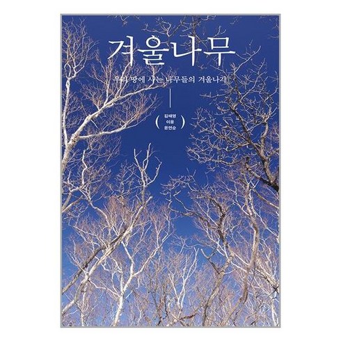 겨울나무 + 미니수첩 증정, 김태영, 돌베개