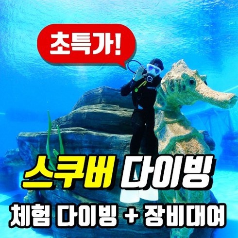 [50% 이벤트] PADI 수영장/바다 체험다이빙 스쿠버다이빙, 바다 체험 다이빙