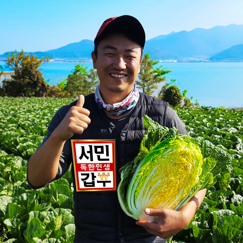 서민갑부 절임배추 해남특급 절임배추20kg 김장예약 모든날짜가능, 20kg, 주문시 문자드려요날짜알려주세요