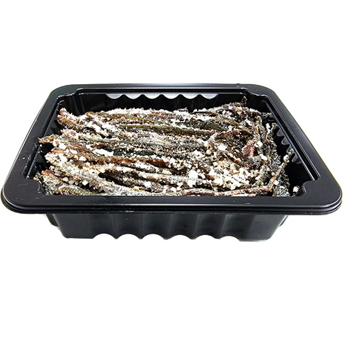 갯지렁이 미끼 청개비 탱글탱글 염장 130g, 상세페이지 참조, 1개