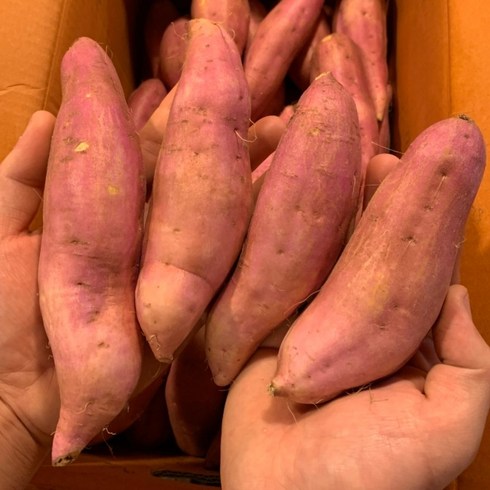 촉촉하고 달달한 당진 햇 호박고구마 고구마, 1박스, 상중 2kg