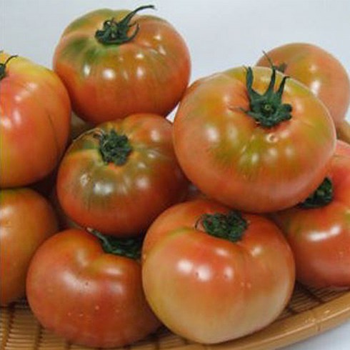스마트팜 토마토 5kg - 행복한 농부 정품 찰토마토 /5kg 토마토 드시고 건강하세요, 5kg(소과), 1개