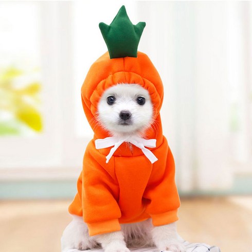 마이바우 애교머리 후드티 강아지옷 고양이옷 반려동물, 오렌지(당근), 2개