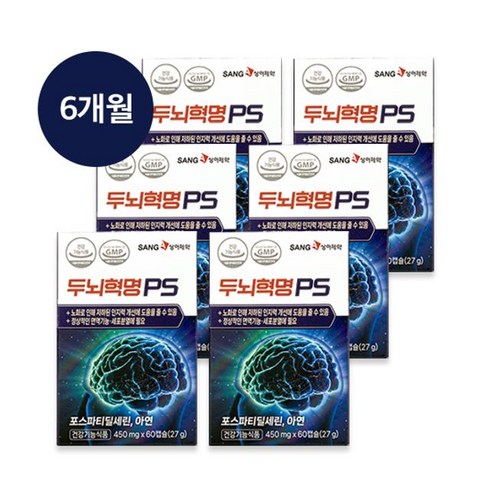 상아제약 상아제약 두뇌혁명PS 6박스/6개월분, 6개, 단일옵션