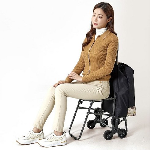 #접이식 의자형 쇼핑 카트