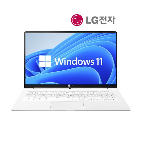 LG 그램 15.6인치 i5 6세대 SSD장착 윈11 프로, 15Z960, WIN11 Pro, 8GB, 128GB