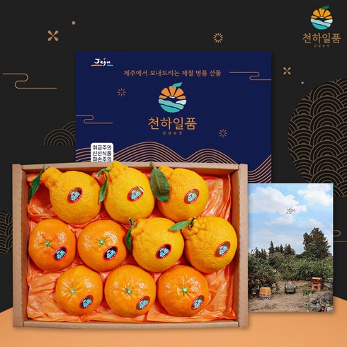 2023년 가성비 최고 명품선물세트 - [명품패키지]천하일품 레드향 한라봉 천혜향 명품 선물세트 2.5kg 4.5kg, 1박스, 02.레드향 선물세트 2.5kg 대과(5-9과)