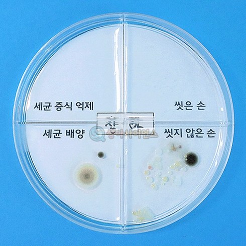 세균배양키트 - 세균 배양과 증식 억제 실험하기(4인세트)