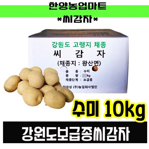 강원도 정품 씨감자 수미 대서 두백 20kg 10kg 4kg 씨앗사은품증정, 수미10kg(반찬용씨감자), 1개