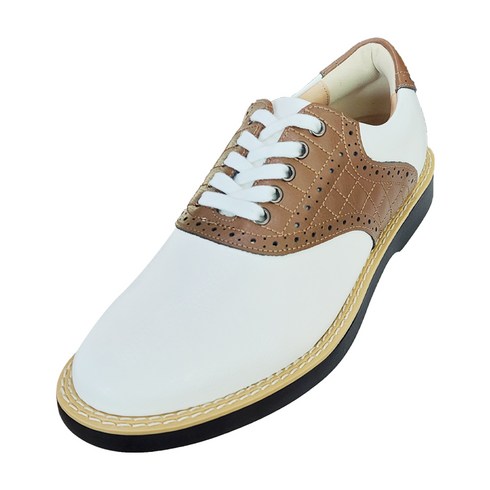 풋조이남성골프화 TOP01