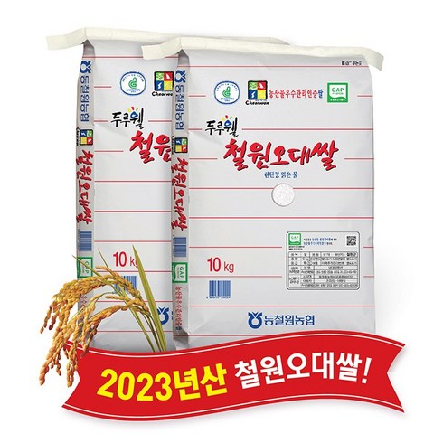 철원오대쌀 10kg10kg - [당일도정] [동철원농협 직접운영] 2023년산 두루웰 철원오대쌀, 2개