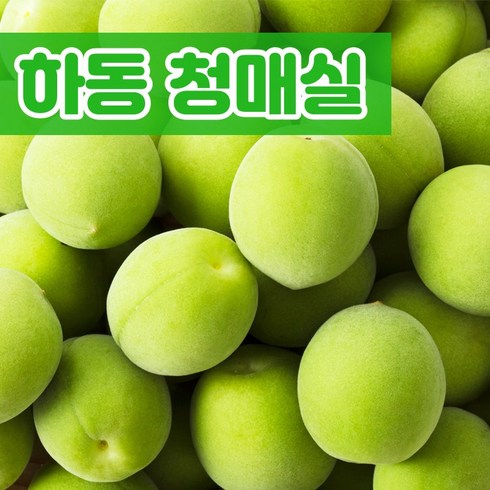 청매실 - 산지직송 경남 하동 청매실 매실청 장아찌 엑기스 씨없는 쪼갠 매실 깐매실 2.5kg 5kg 10kg, 1개, 5kg (M 청매실 생과)