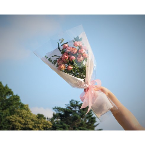 사랑스럽고 아름다운 프로포즈 자나장미 20송이 생화 꽃배달, 프리미엄[이쁜포장, 1개