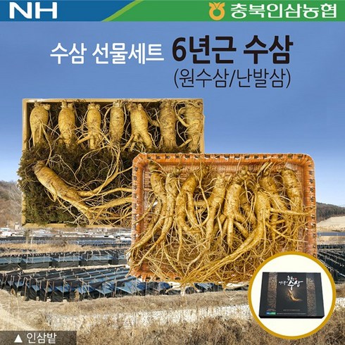 충북인삼농협 6년근 수삼 선물세트 원수삼 농협 신토불이 수삼 인삼, 왕특대-7~8뿌리(1kg)