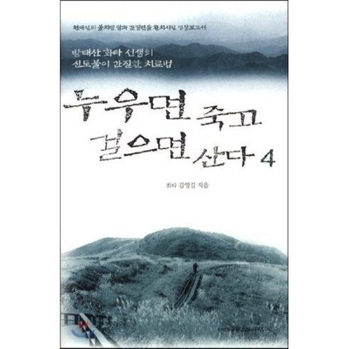 누우면죽고걸으면산다 - 누우면 죽고 걸으면 산다 4:방태산 화타 선생의 신토불이 간질환 치료법, 사람과사람, 김영길