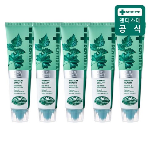 덴티스테치약5개 - 덴티스테 뉴 플러스화이트 치약, 100g, 5개